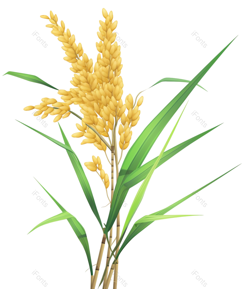 叶子图片,种子元素,黄色的花PNG,传统免抠素材